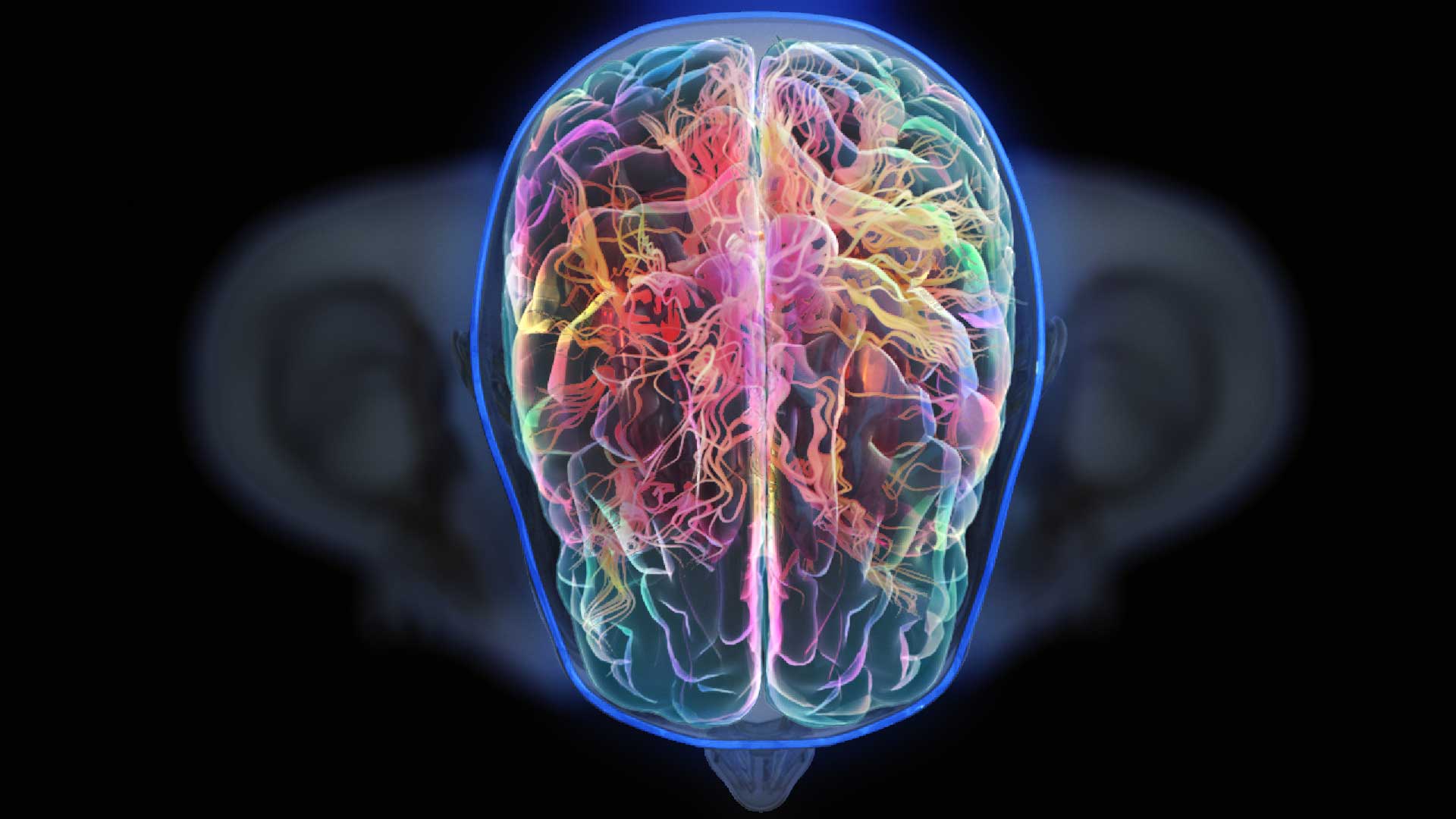 fantastic fungi medical animation