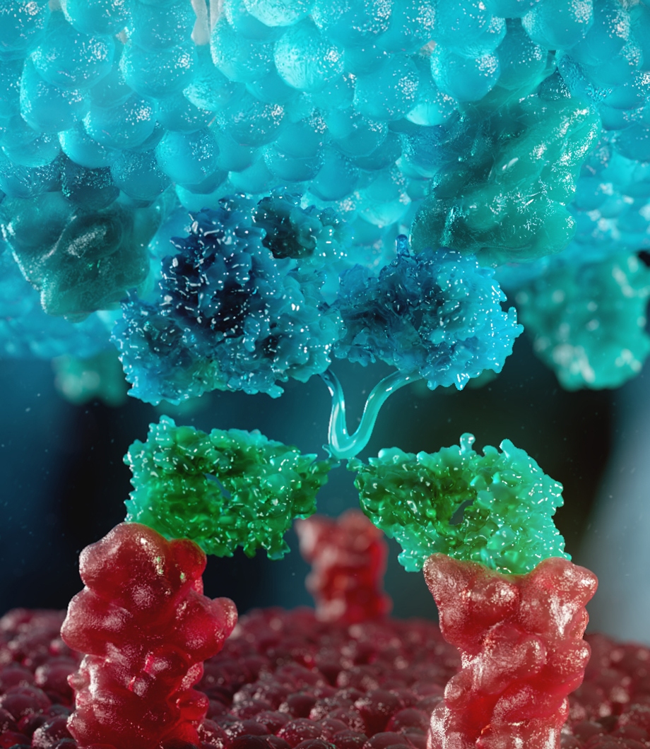 Natural Killer Cell Animation