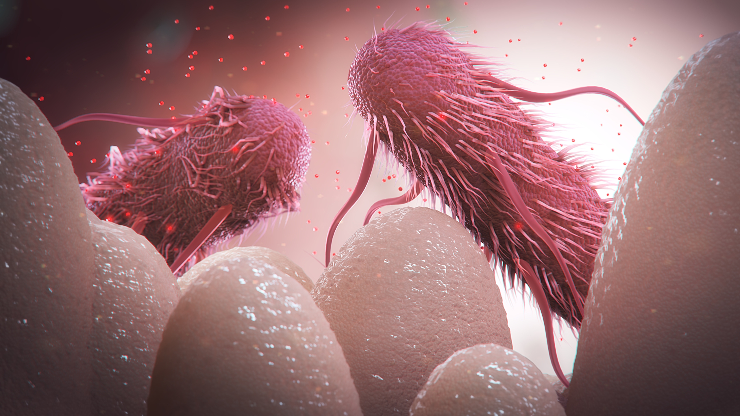 animal health scientific animation