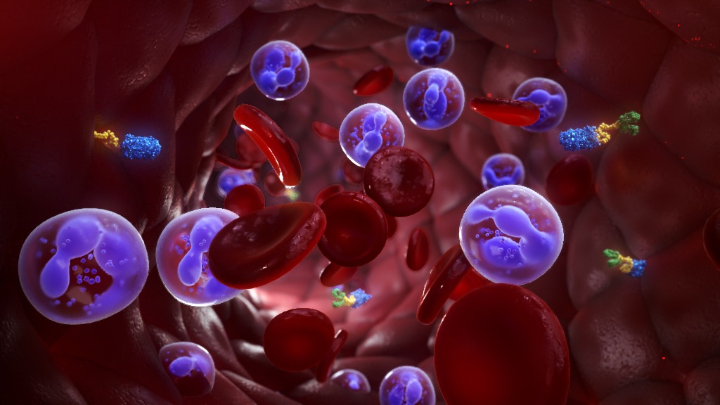 blood vessel medical animation