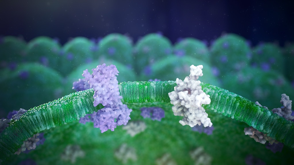 Overactive Bladder Medical Animation