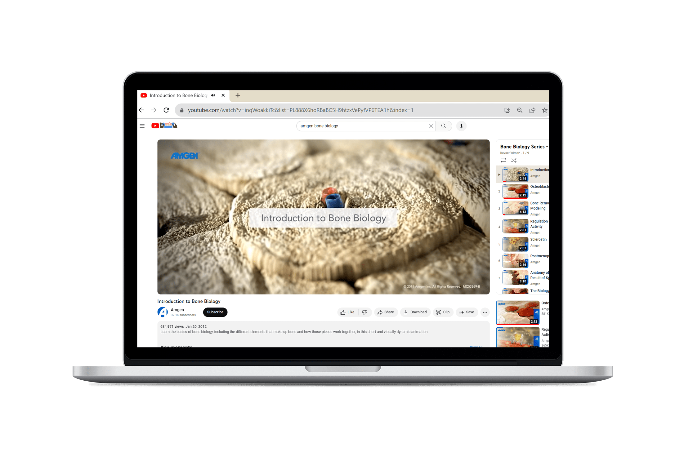 bone biology animation series youtube