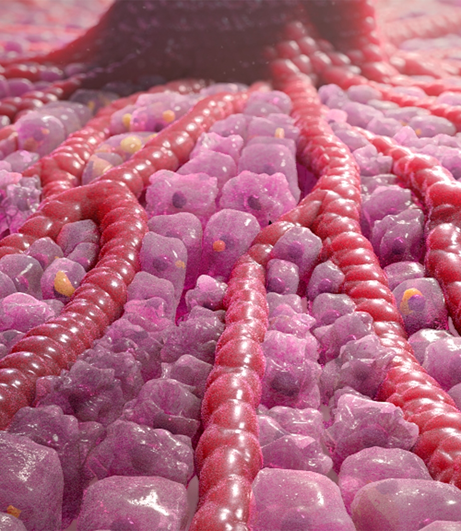 NASH scientific animation