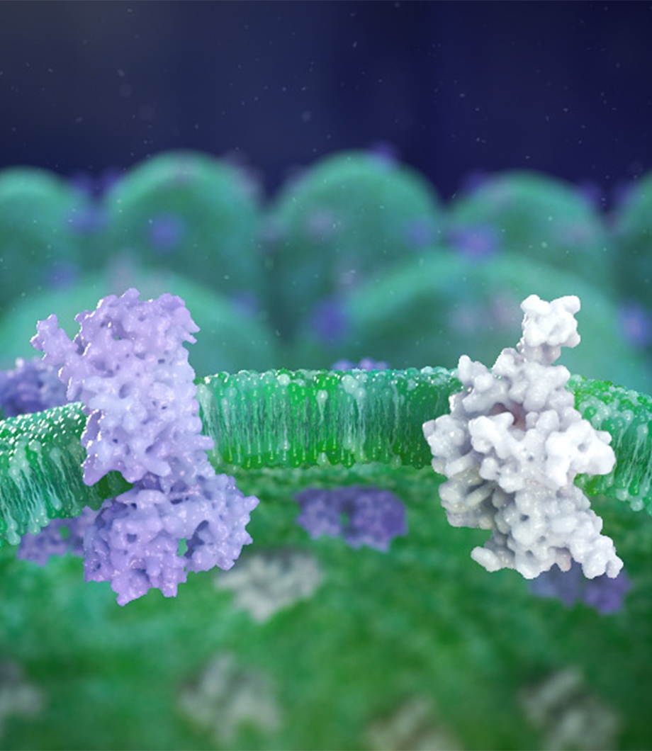 Overactive Bladder Animation