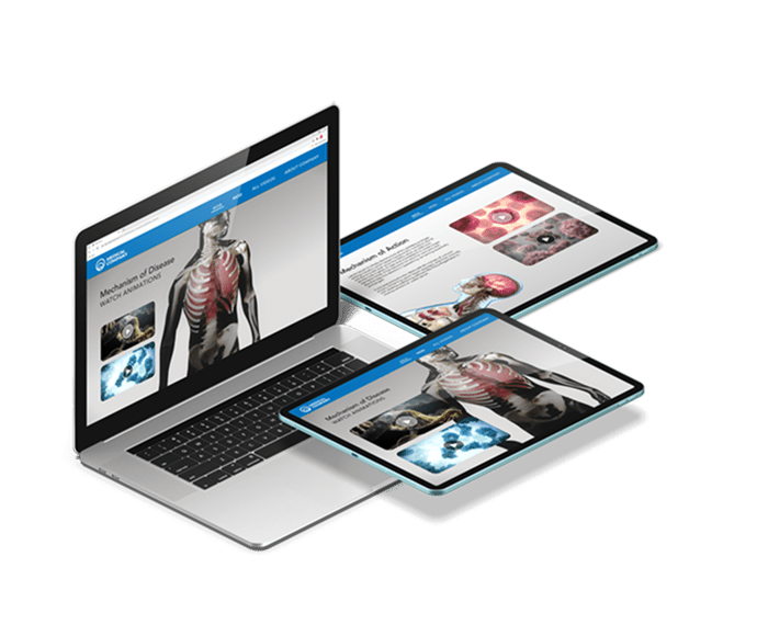 Animation Website Assets