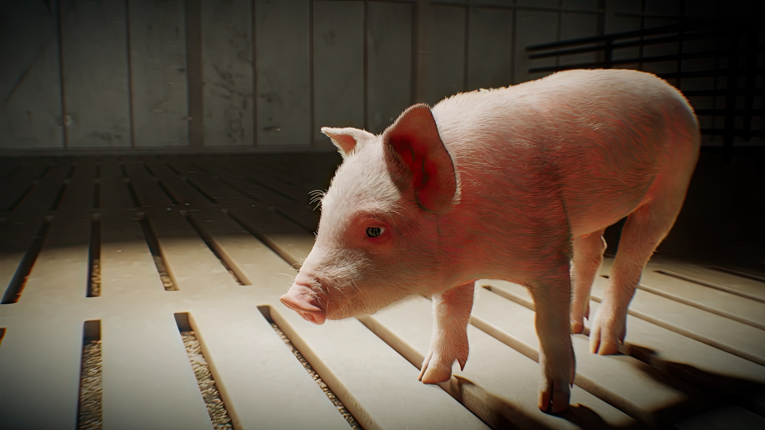 Animal Health Scientific Animation