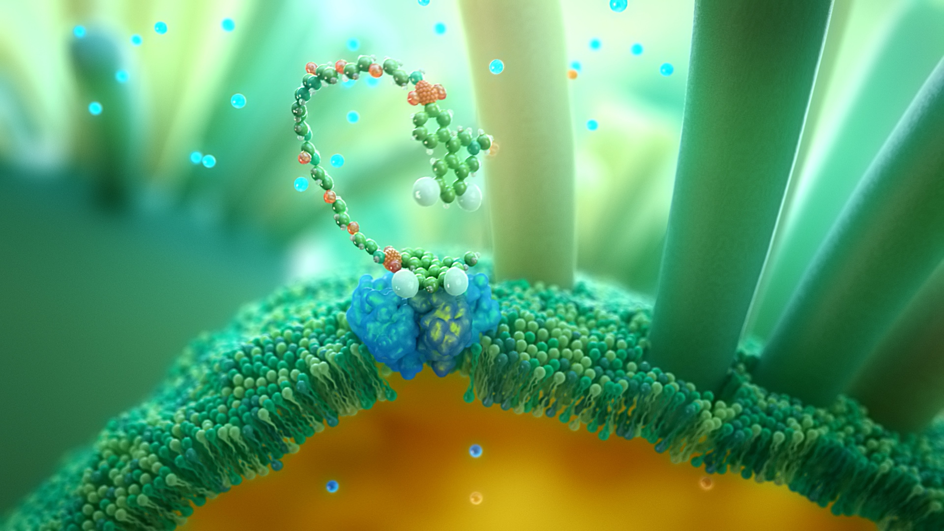 Consumer Health Animation