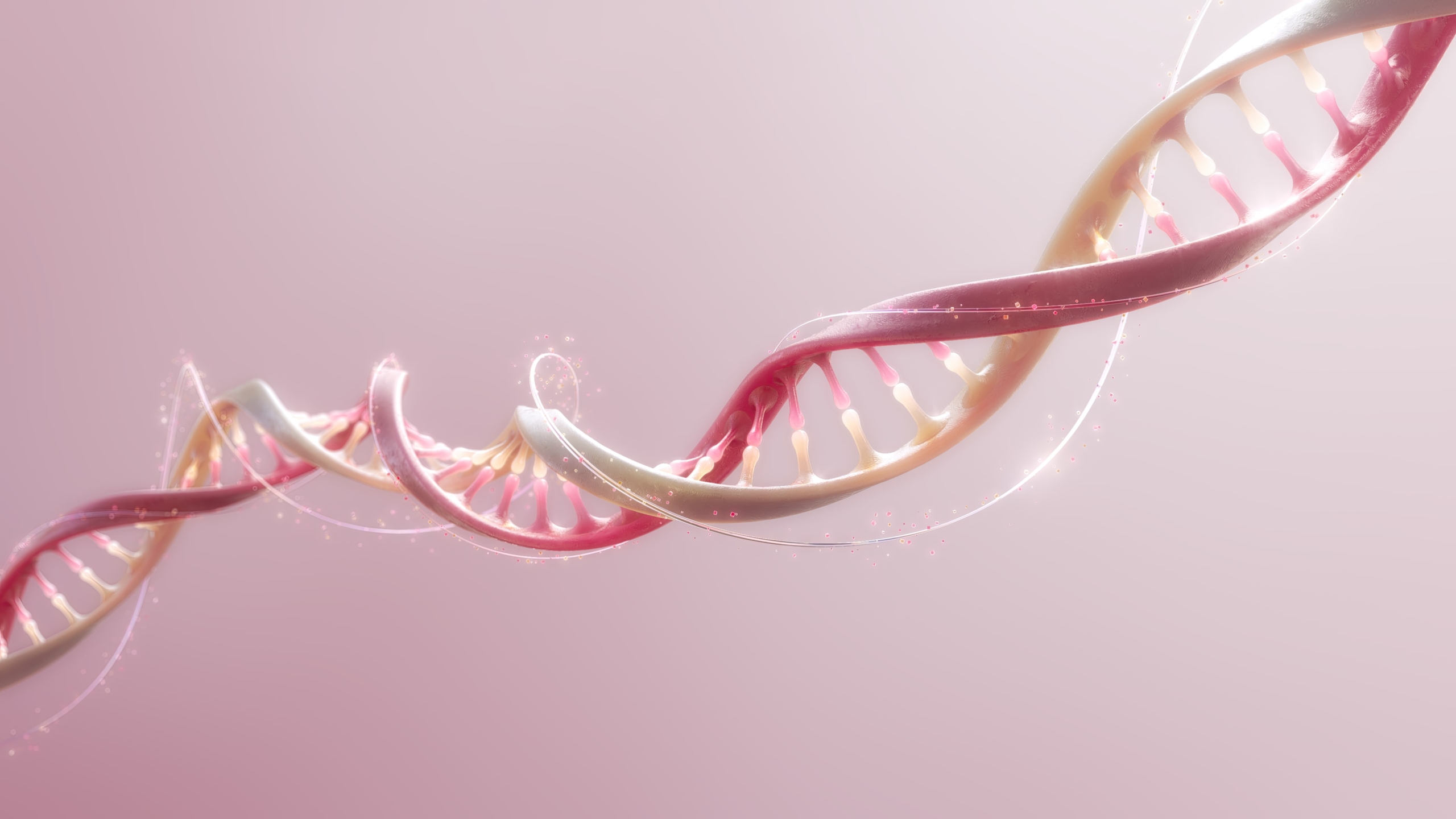 Random42 Medical Animation