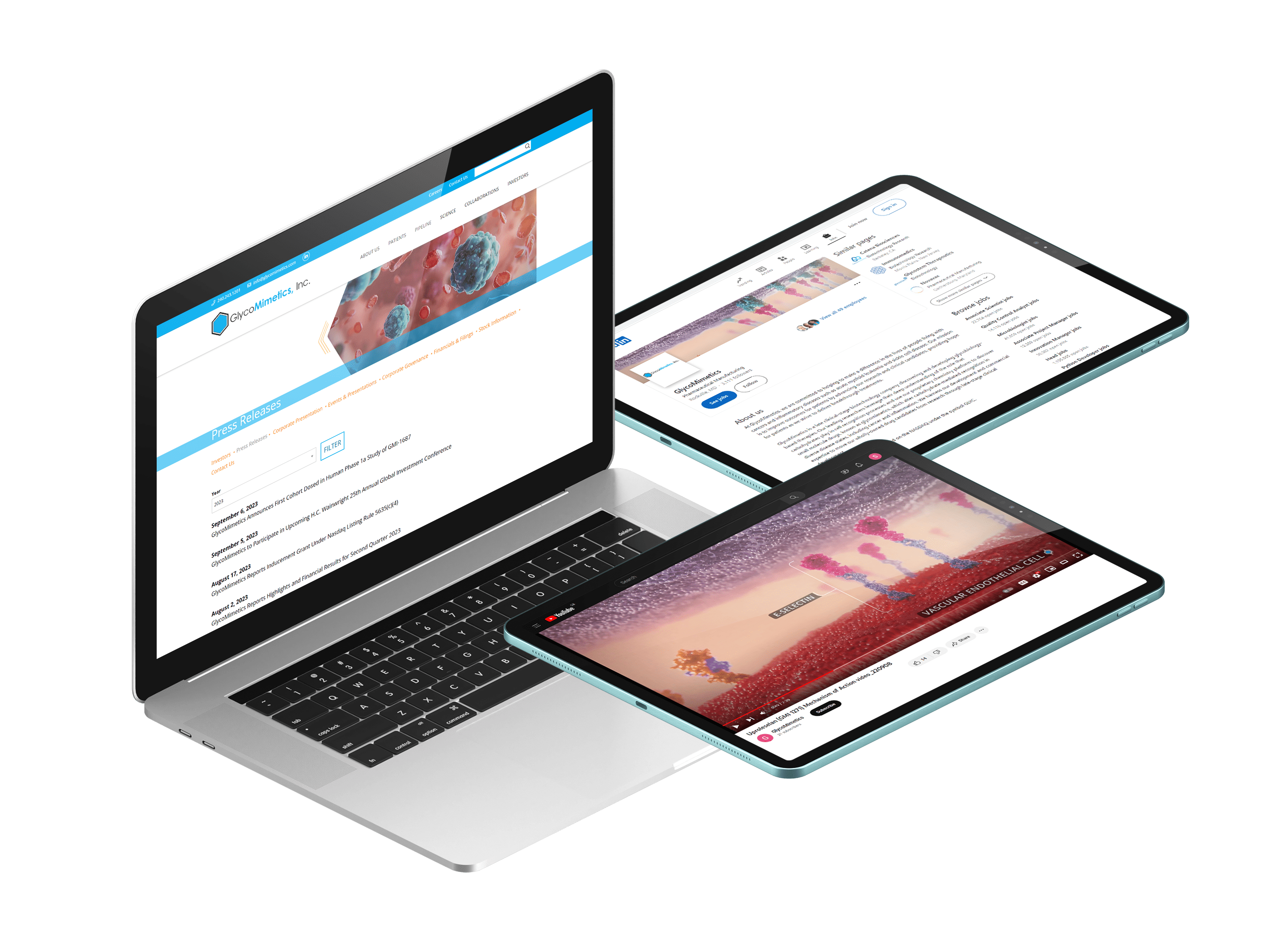 acute myeloid leukaemia medical animation
