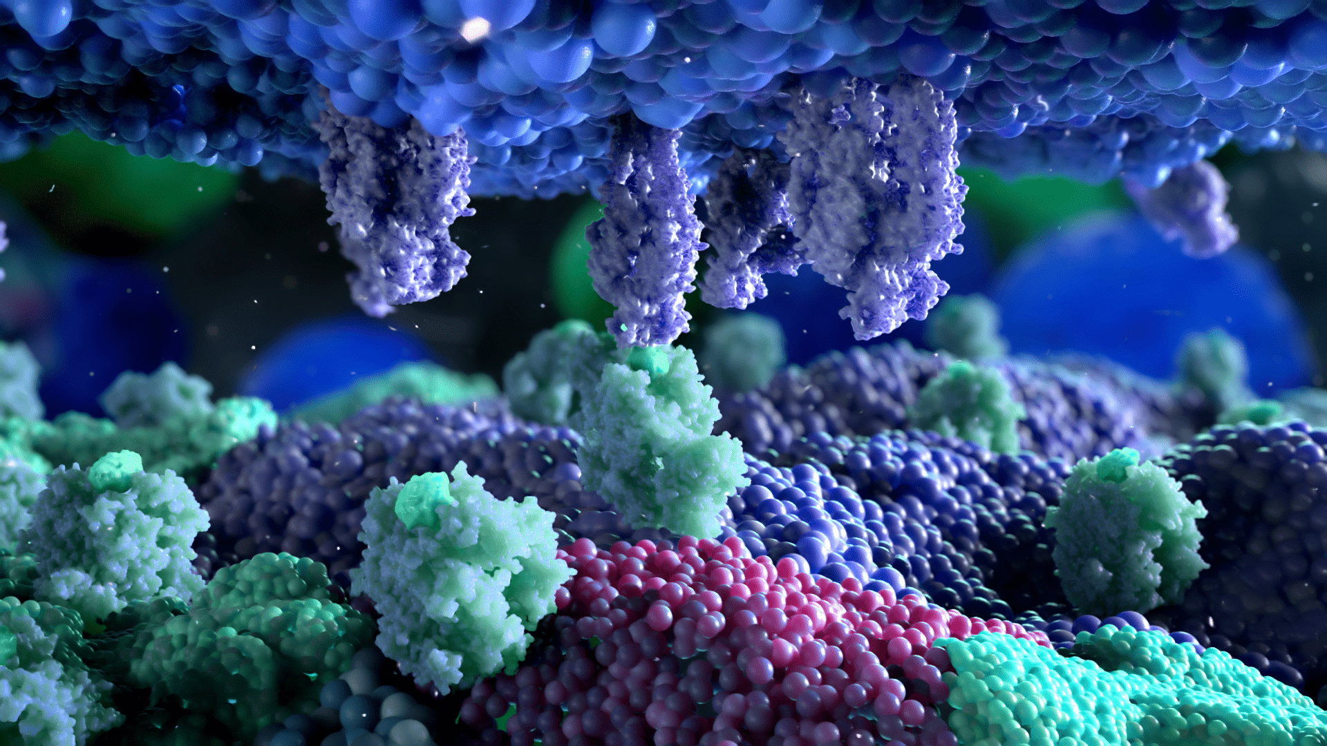 immunotherapy platform animation