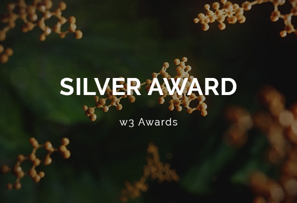 random42 w3 awards 2023