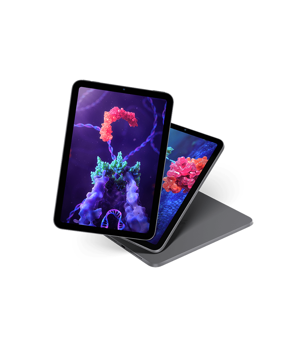 antibody discovery platform medical animation