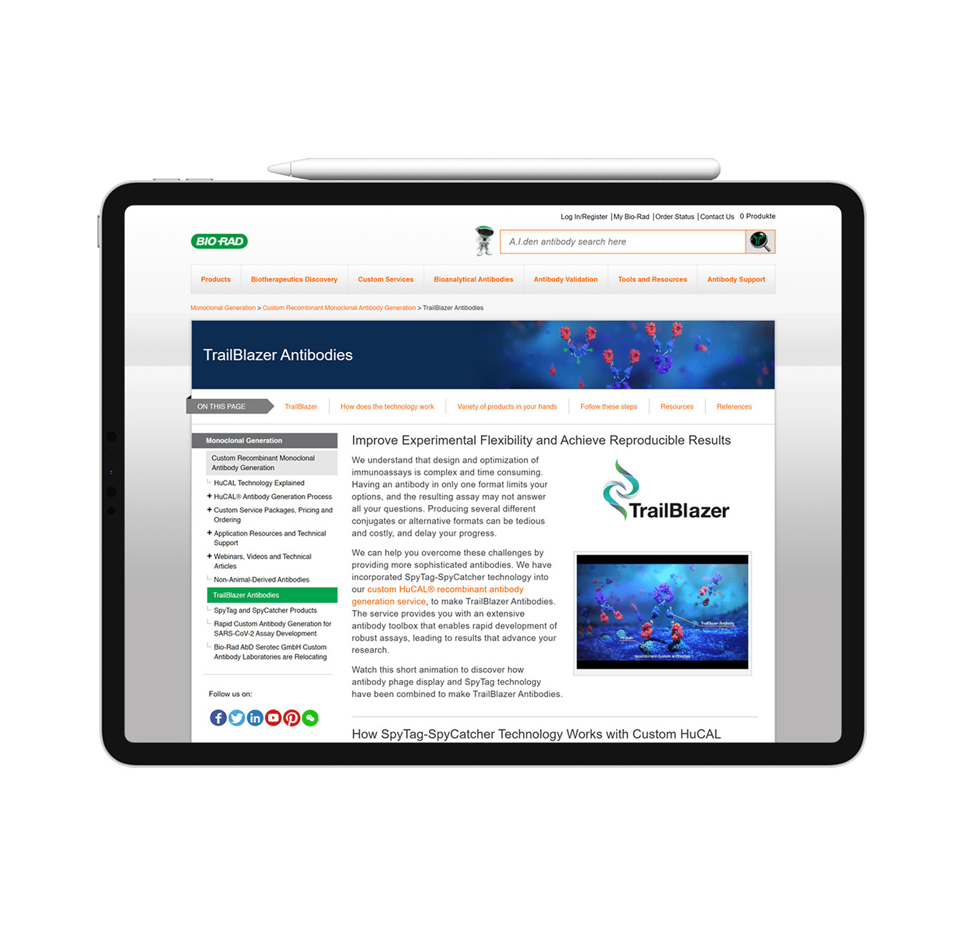 antibody-discovery-scientific-animation2