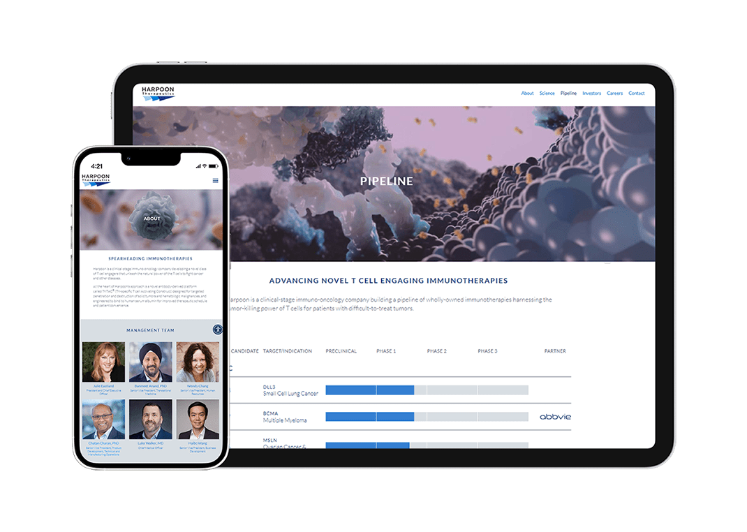 immuno-oncology medical animation
