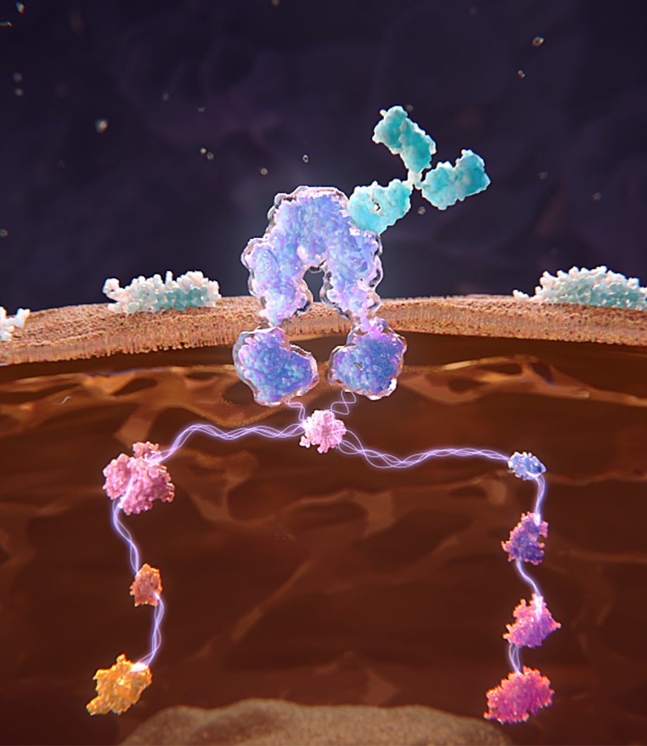 ophthalmology product animation
