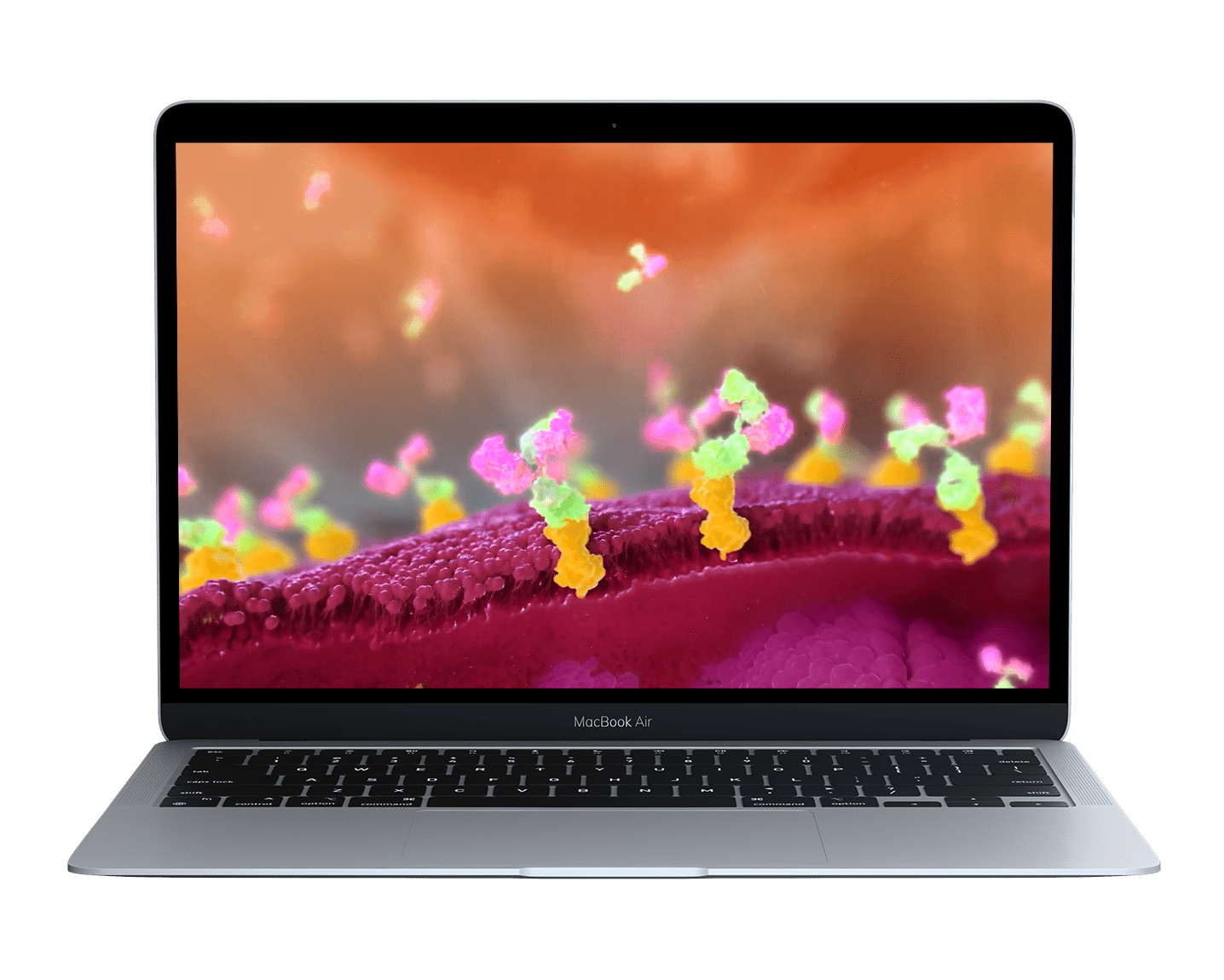 cancer treatment animation laptop