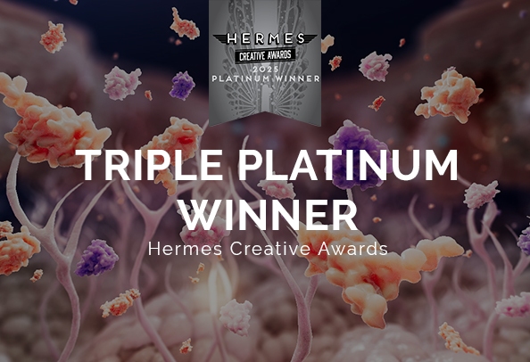 hermes creative awards 2025