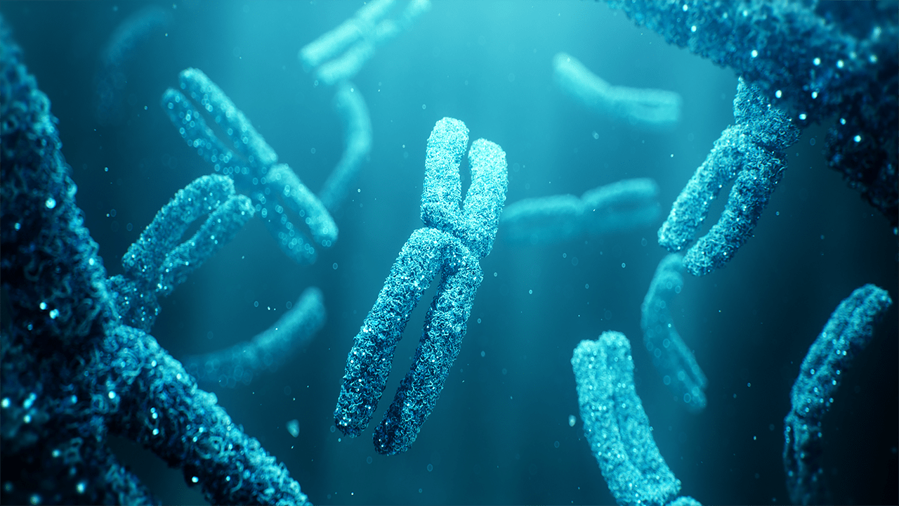 Random42 Scientific Communication