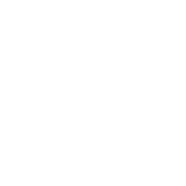 R42 Icon internal training