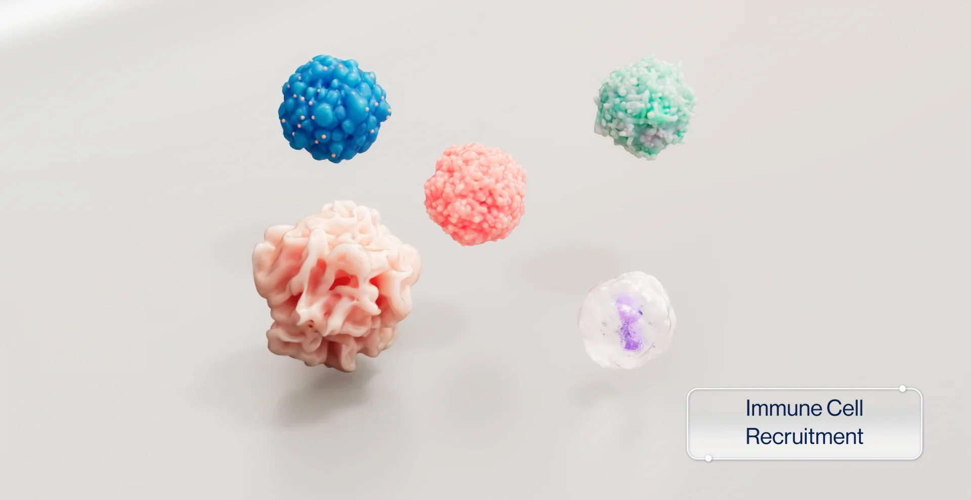 digital content learning and development