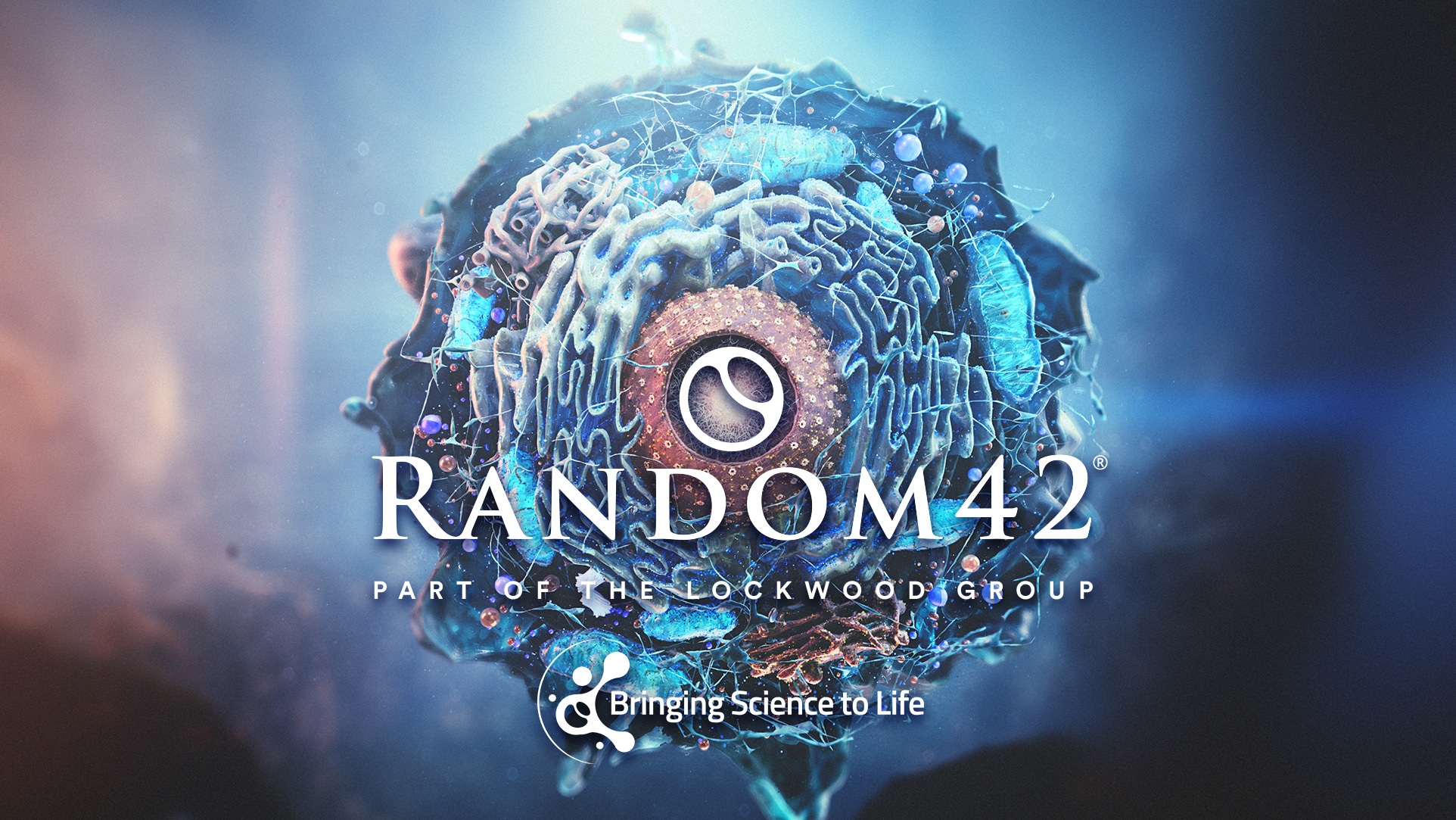 Random42 2026 Medical Animation Showreel