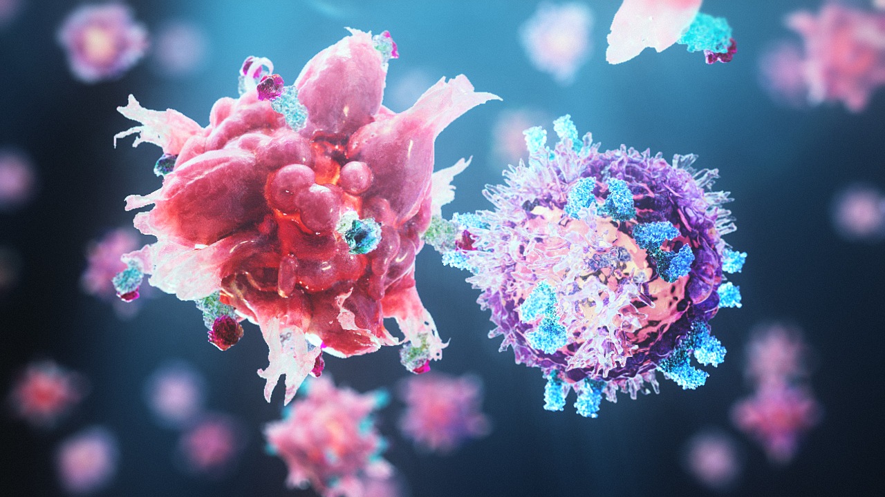 random42 website creation for biotech