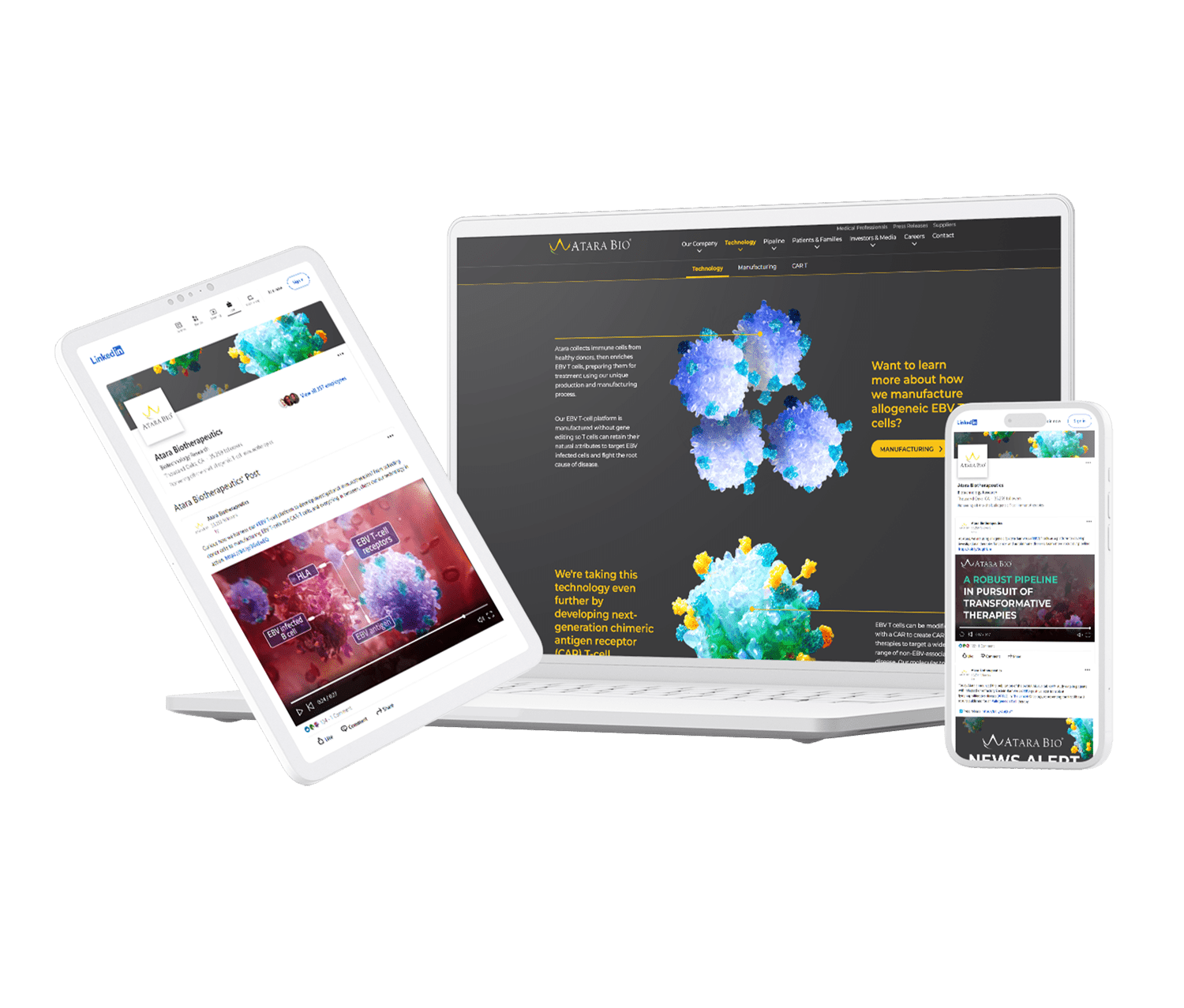 multiscreen image of scientific digital content for biotech social media