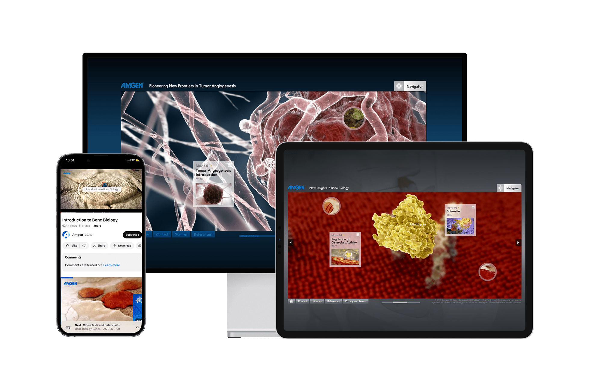 Bone biology website youtube
