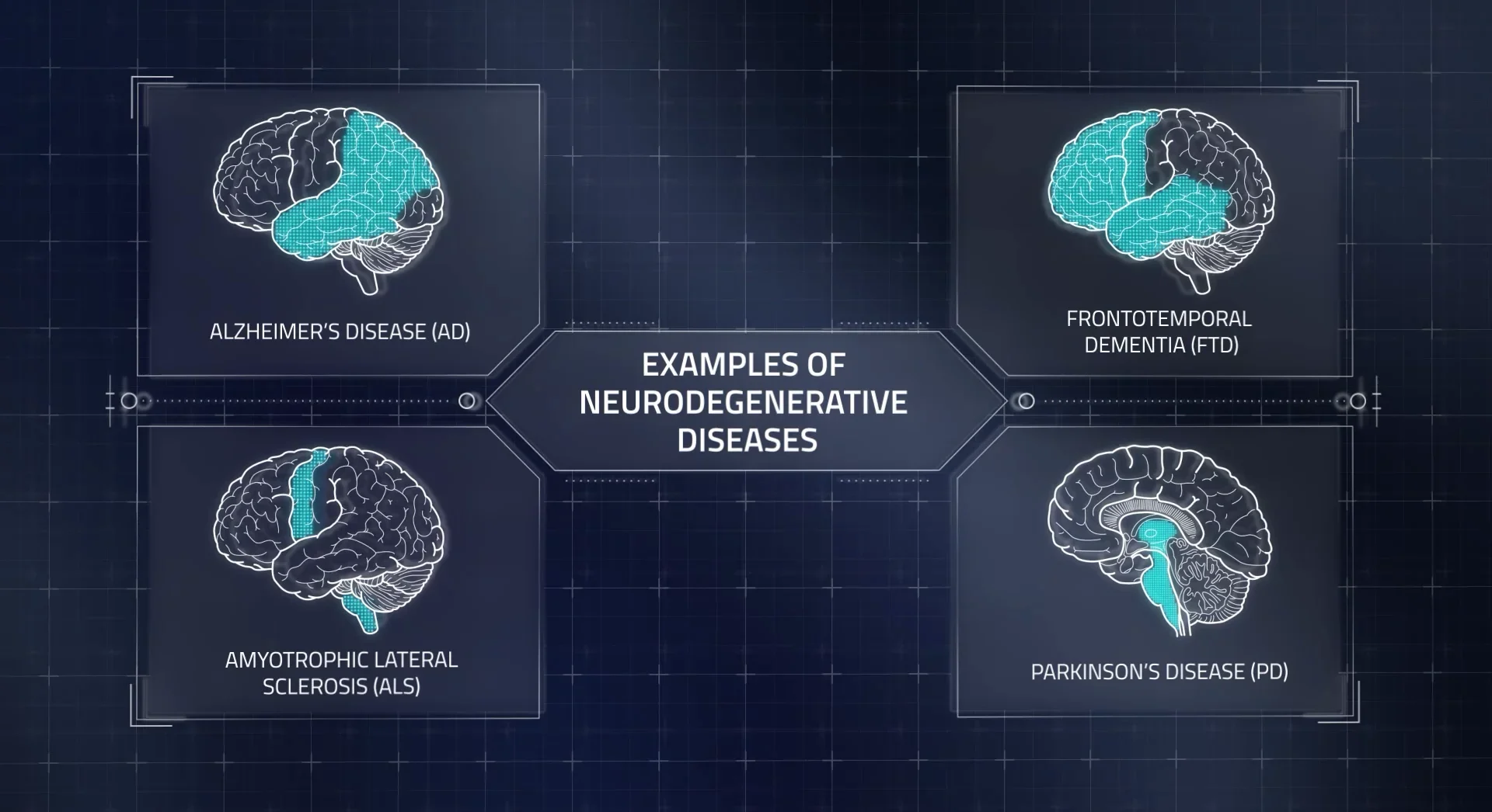 2d medical animation of brain