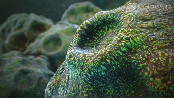 3D model of frog skin designed by Random42