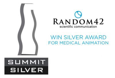 Summit Silver Award