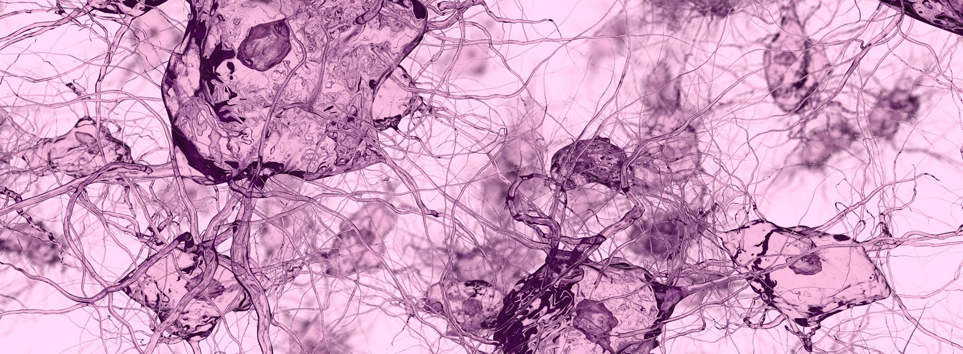 3D model of osteocytes designed by Random42