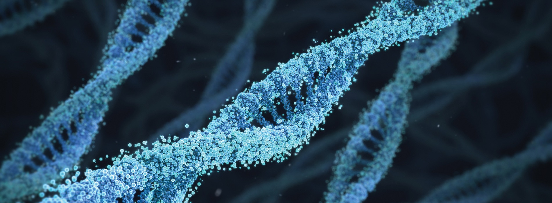 3D model of DNA designed by Random42