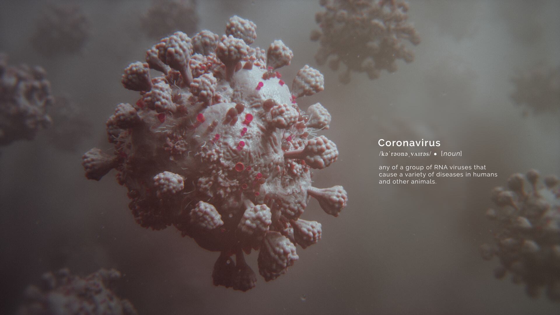 3D model of corona virus designed by Random42