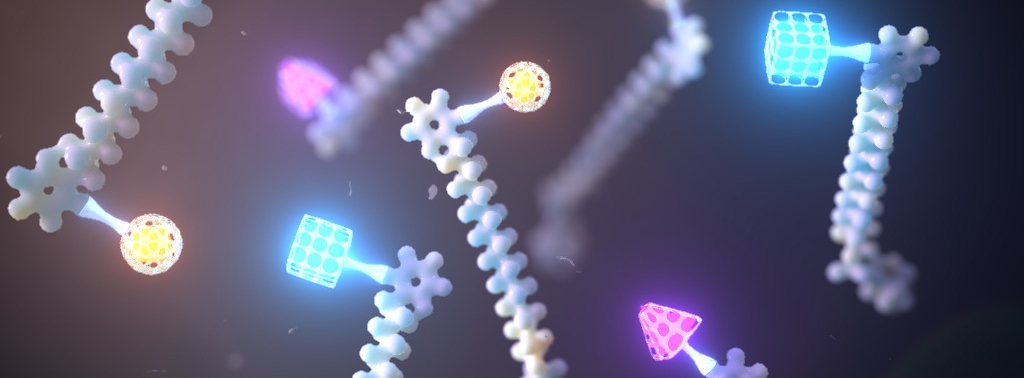 3D model of phospholipid designed by Random42