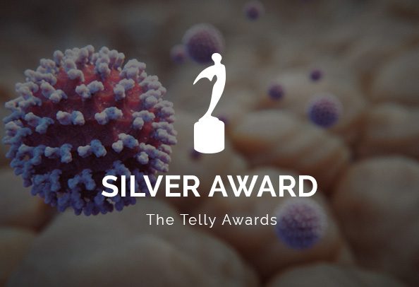 Telly Awards 2020 Silver Logo