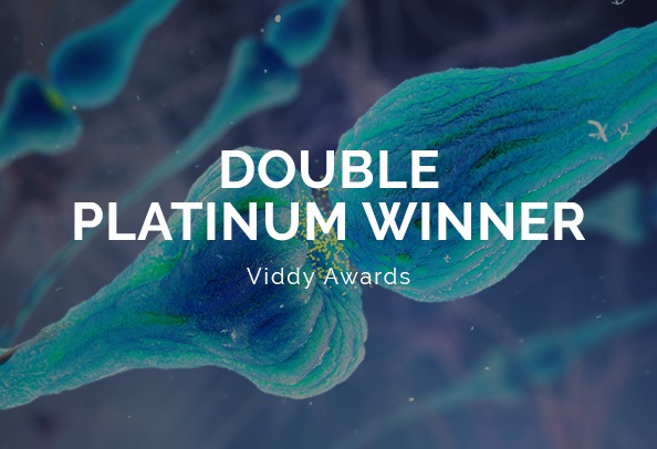 Viddy Awards 2022 Logo