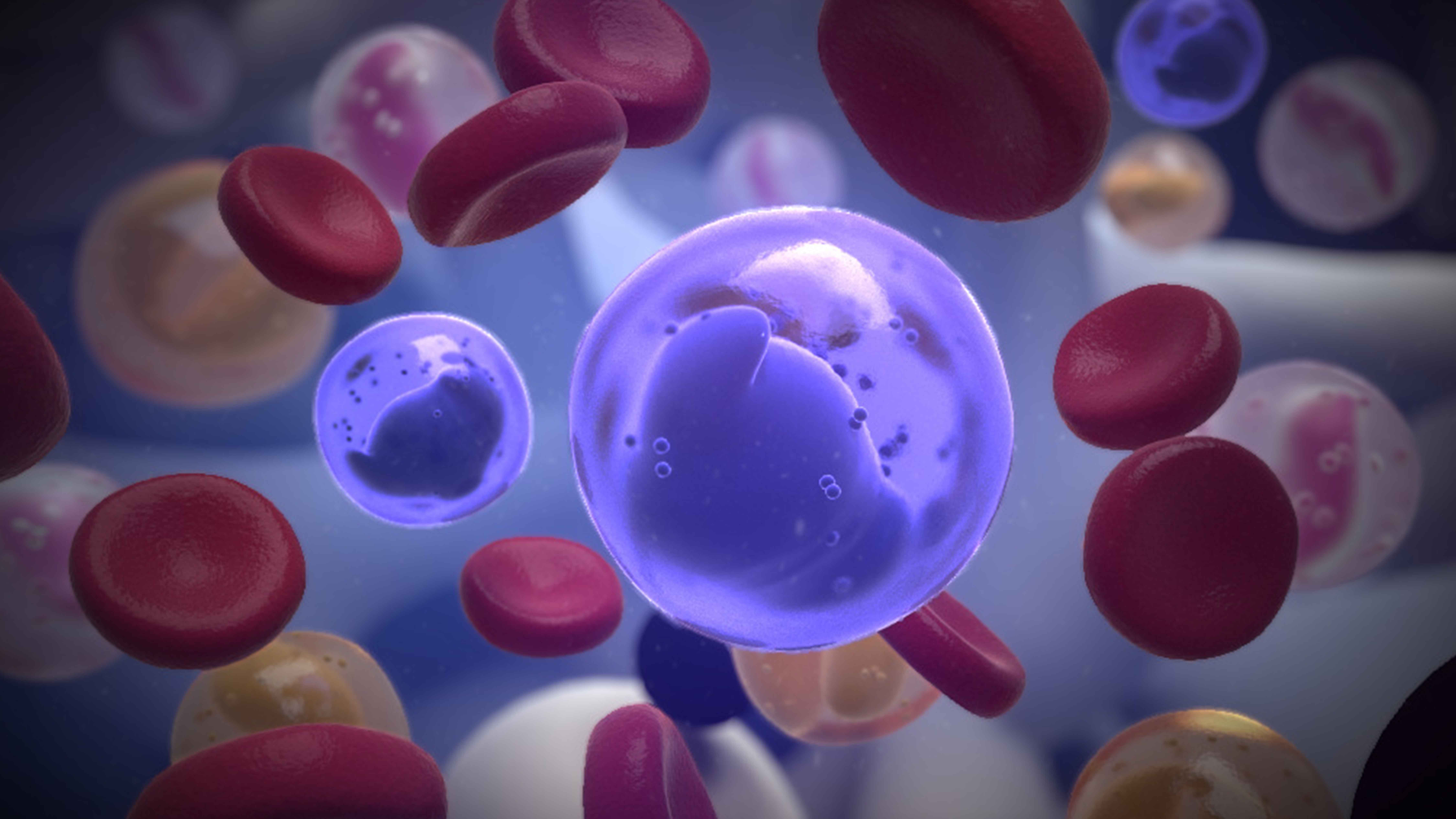 Medical Animation for Industry Events