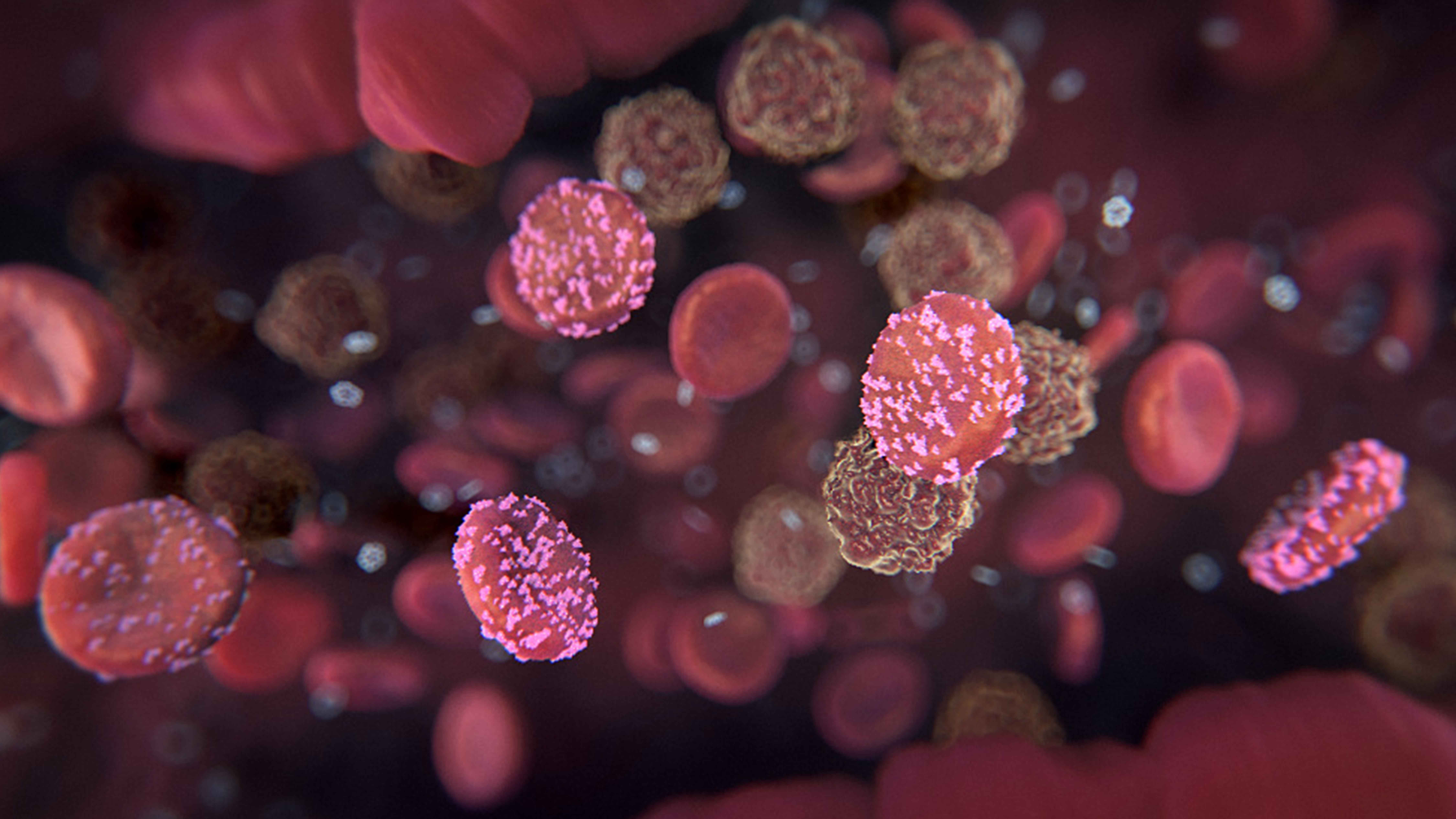 3D model of hematology designed by Random42