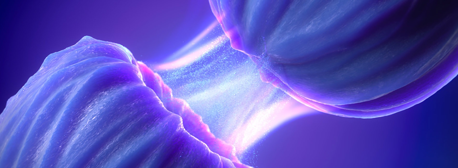 3D model of ADHD MoA designed by Random42