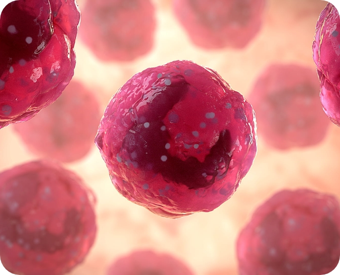 3D model of a hepatocytes environment designed by Random42