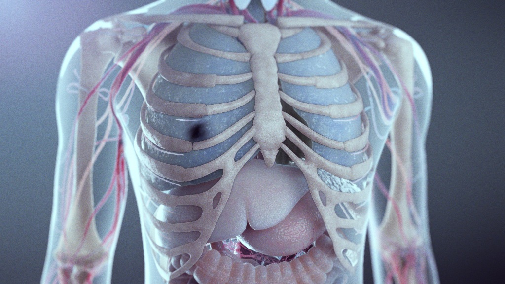 immunotherapy technology animation