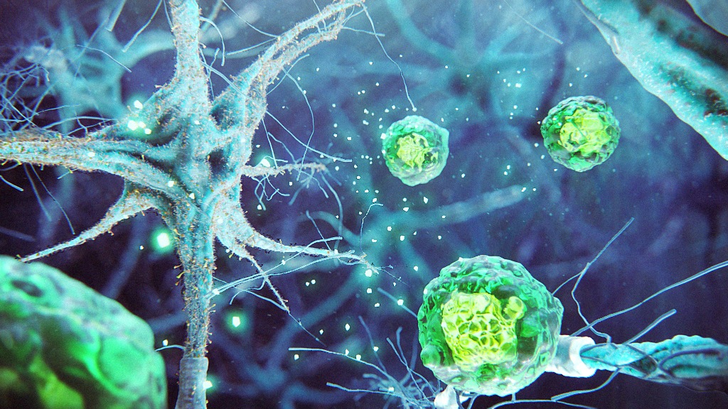 Autologous Cellular therapy Animation