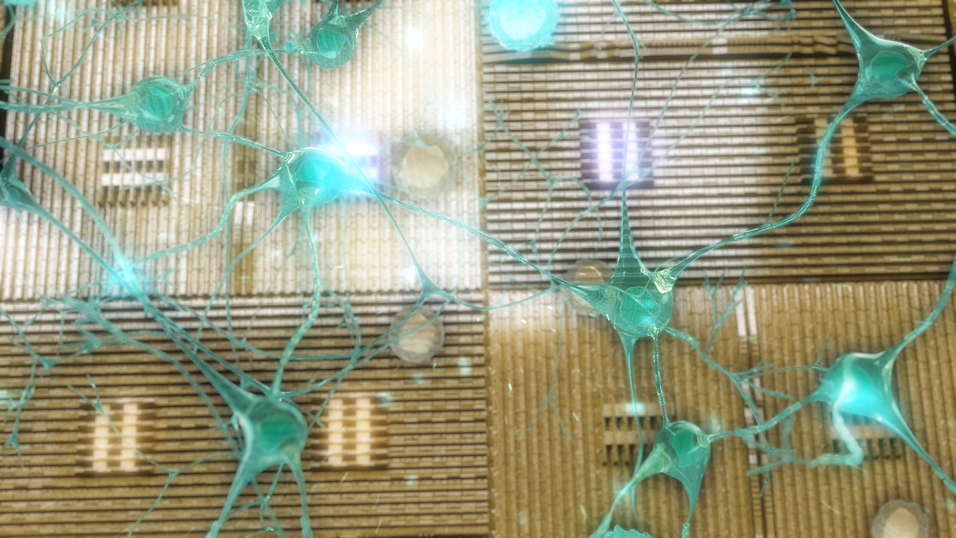 Organs on a Chip Animation