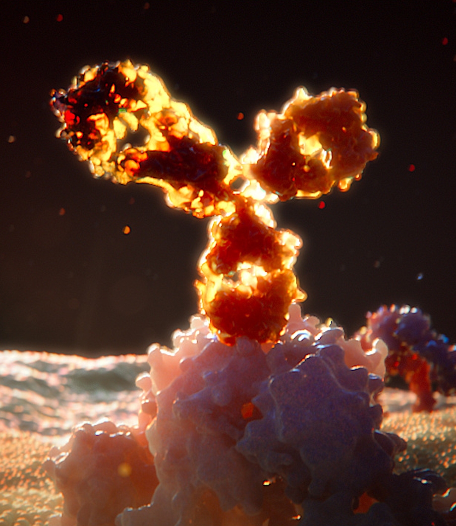 Oncology Medical Animation