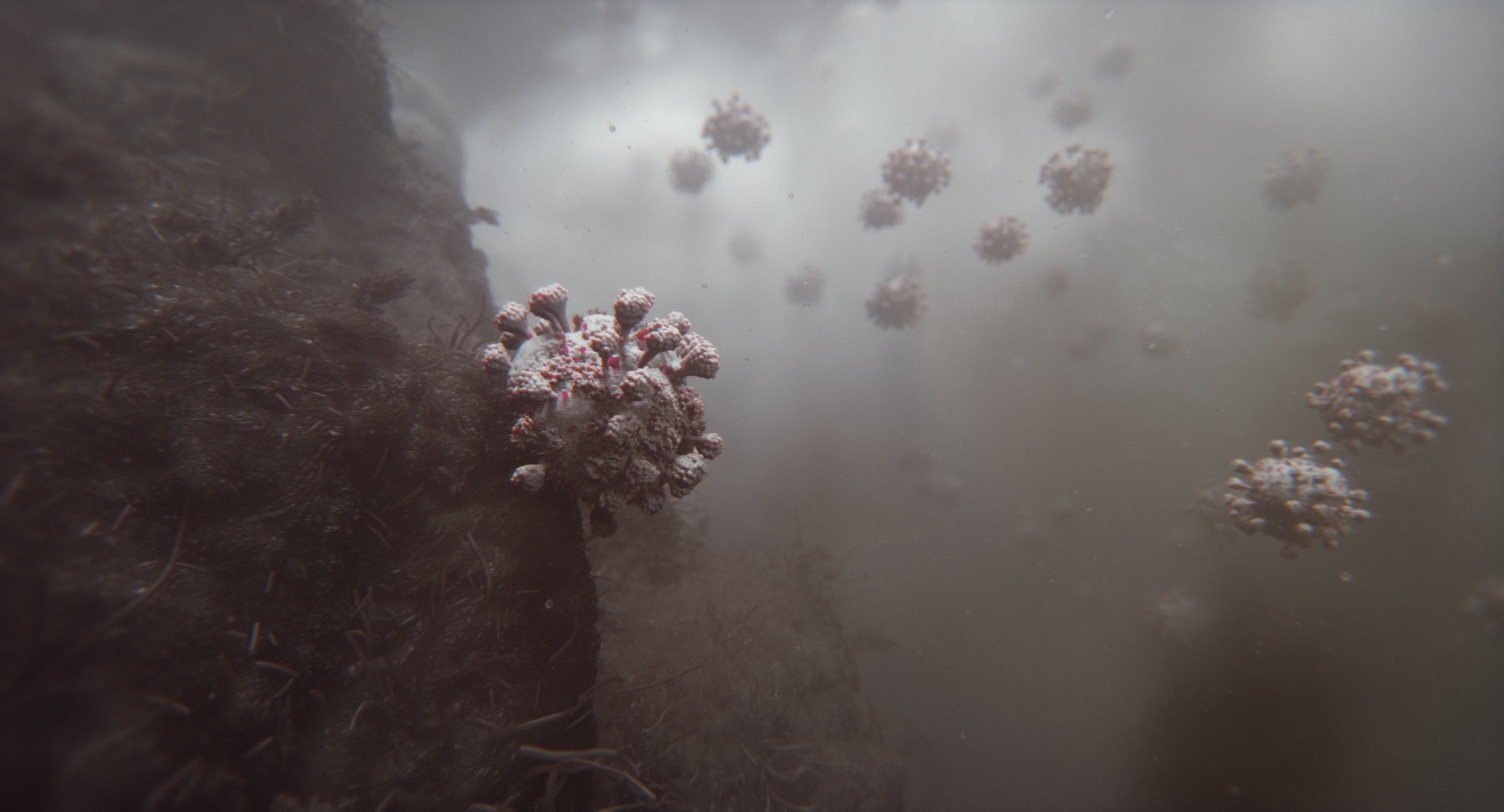 Coronavirus Animation