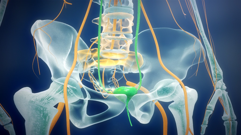 Overactive Bladder MOA Animation
