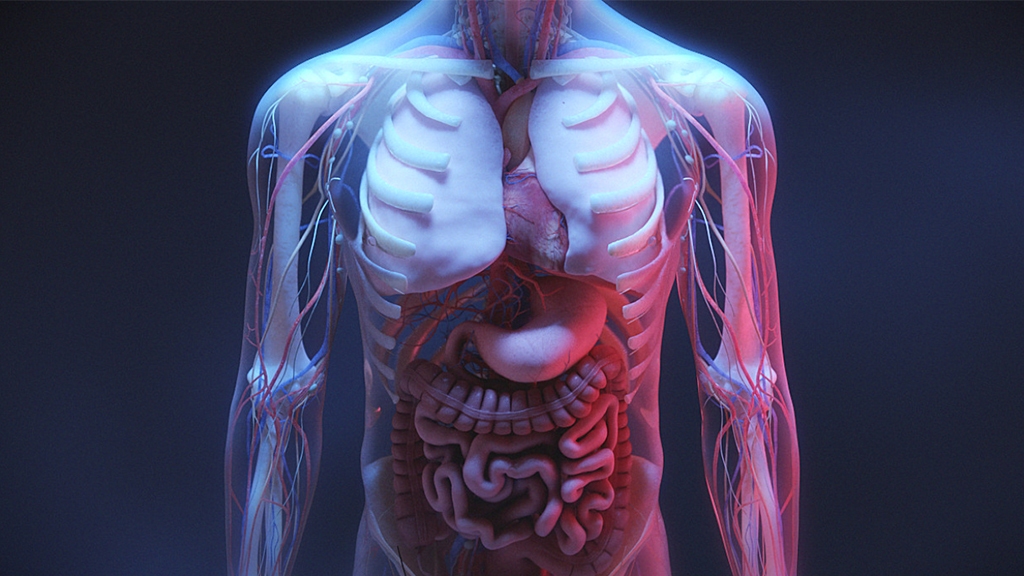 Gene Therapy Medical Animation