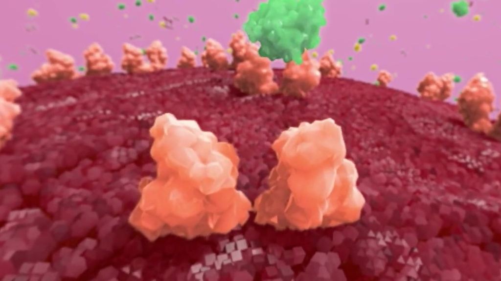 Monoclonal Animation