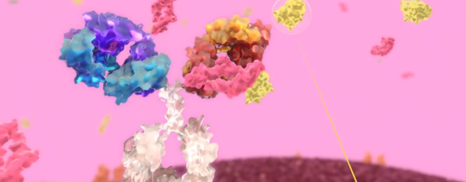 monoclonal antibody virtual reality